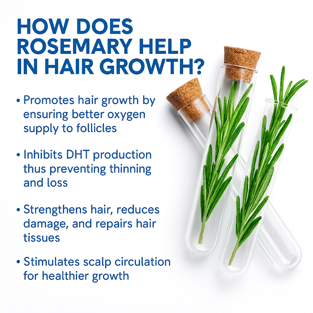 Cazoba Hair Growth Serum Roll