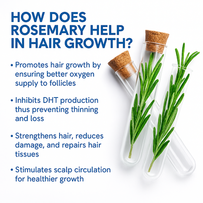 Cazoba Hair Growth Serum Roll